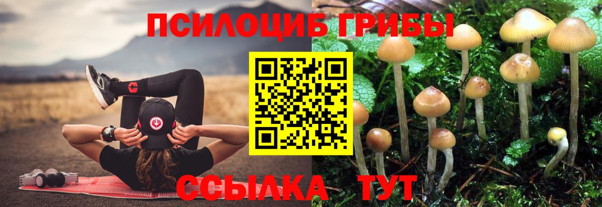 Галлюциногенные грибы GOLDEN TEACHER Артём