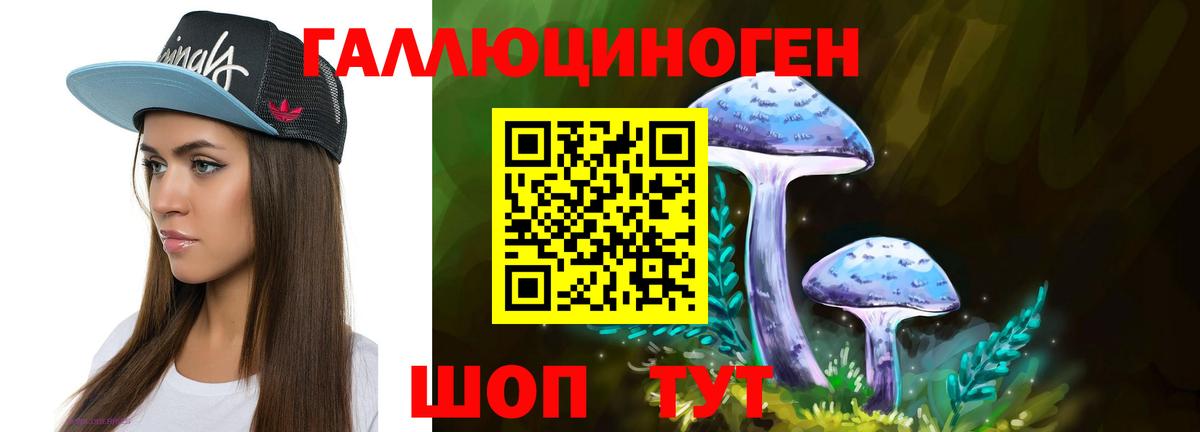 Артём  Псилоцибиновые грибы Cubensis  Вход с VPN 